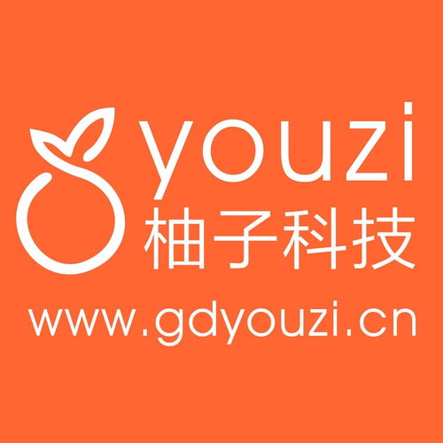 廣東柚子網(wǎng)絡科技 賦能企業(yè)數(shù)字化轉(zhuǎn)型的本地化網(wǎng)絡技術服務專家