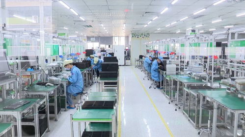 丁紅都強調(diào) 統(tǒng)籌抓好疫情防控與經(jīng)濟社會發(fā)展，以廣東網(wǎng)絡技術服務賦能雙線戰(zhàn)役